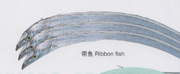 image007.png image007.png